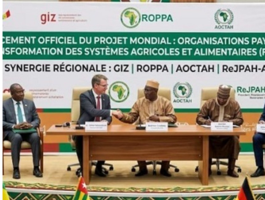 Afrique de l’Ouest : un nouveau levier pour faire entendre la voix des producteurs agricoles