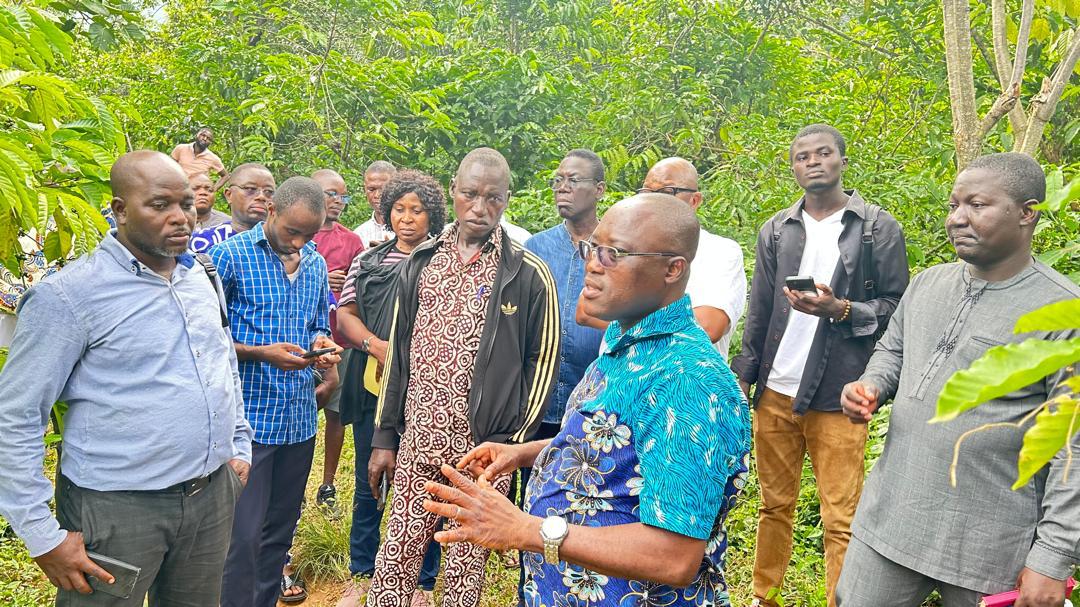 À Kpalimé, les acteurs du café et du cacao affûtent leur stratégie climatique
