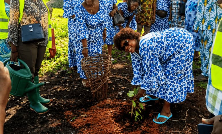 Journée mondiale de l&rsquo;environnement : les Femmes Vaillantes et Dynamiques du Grand-Lomé allient reboisement et sensibilisation à Amadahomé