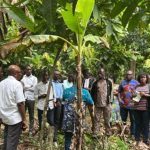 Café-cacao au Togo : les jeunes au cœur du programme New Generation et des enjeux environnementaux