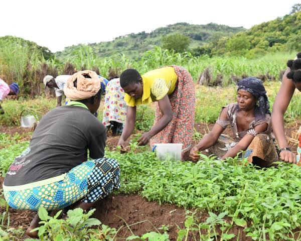 Journée internationale des femmes rurales 2026 : De la nécessité d&rsquo;investir dans les agricultrices   (ONU-Femmes)